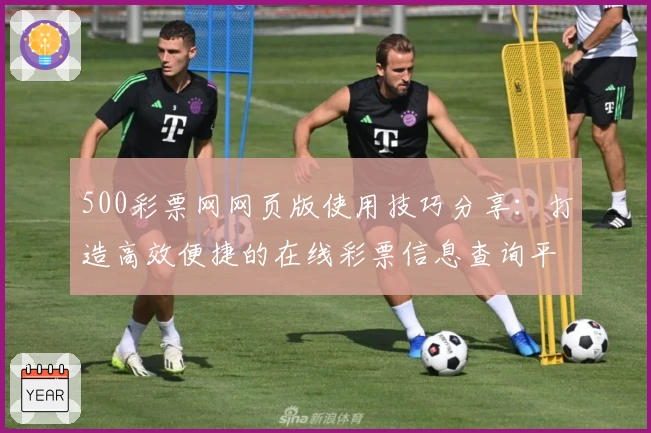 500彩票网网页版使用技巧分享:打造高效便捷的在线彩票信息查询平台